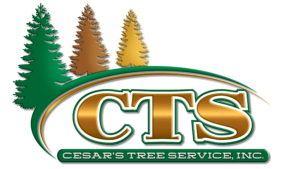 CTS Tree Service